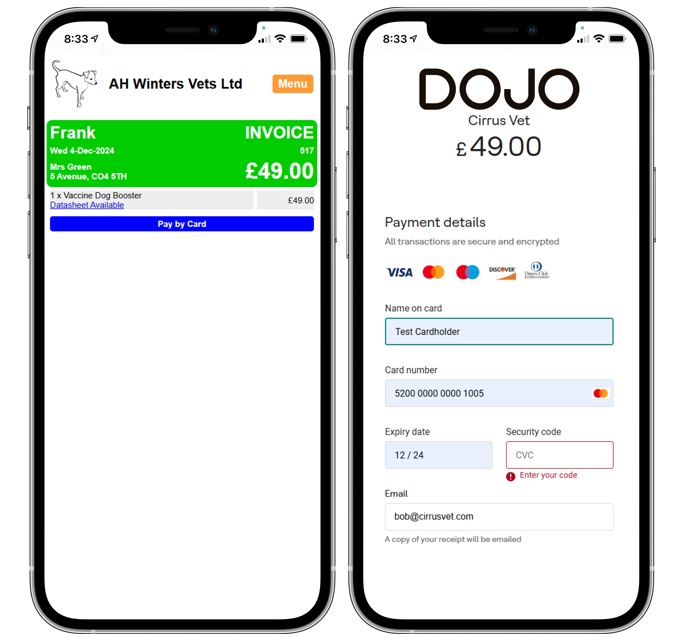 Card payment integration with Client Portal